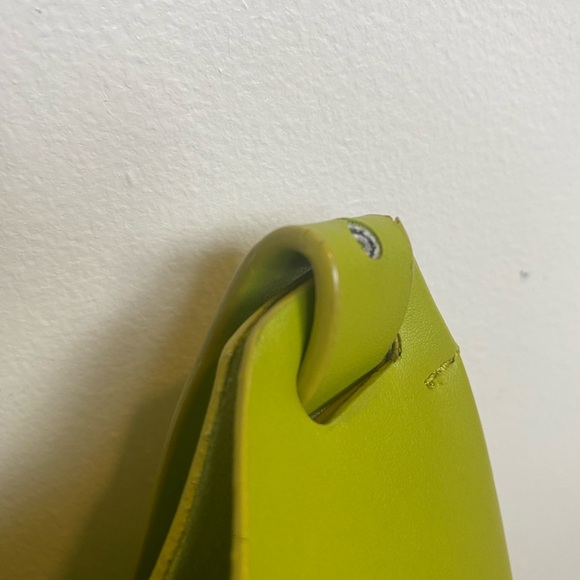 Everlane Cactus Leather Hobo Bag - Picture 5 of 13